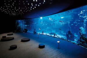 Aquarium Poema Del Mar