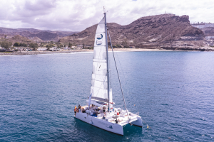 Catamarán Stingray